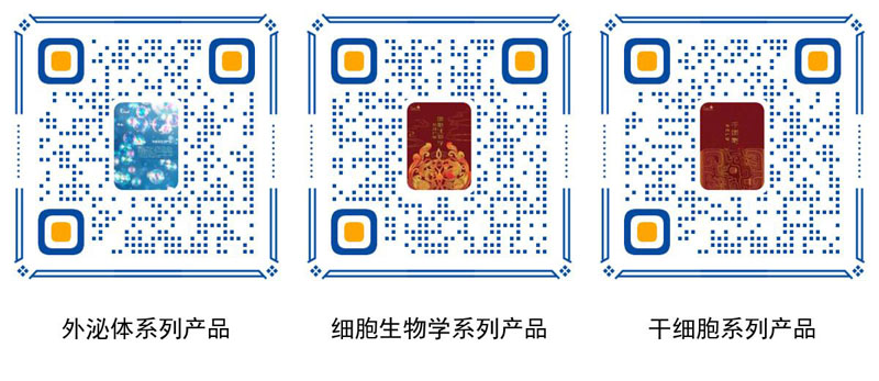 產(chǎn)品數據二維碼