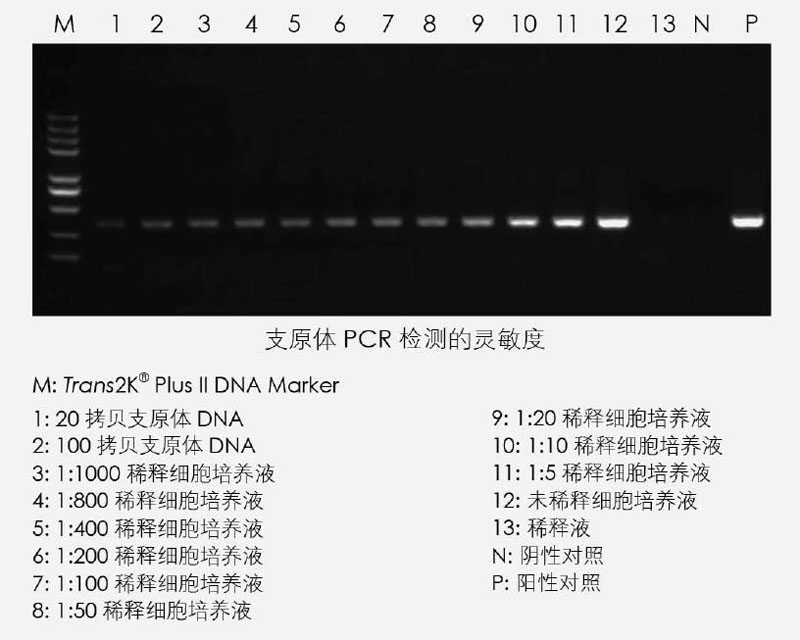 【逛展會(huì )零距離】“渝”您共赴中國細胞生物學(xué)學(xué)會(huì )2021年全國學(xué)術(shù)大會(huì )