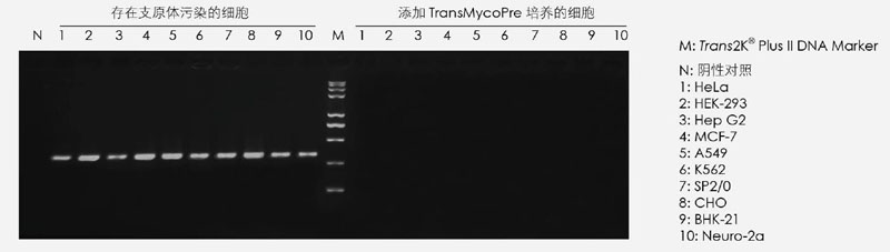 【逛展會(huì )零距離】“渝”您共赴中國細胞生物學(xué)學(xué)會(huì )2021年全國學(xué)術(shù)大會(huì )