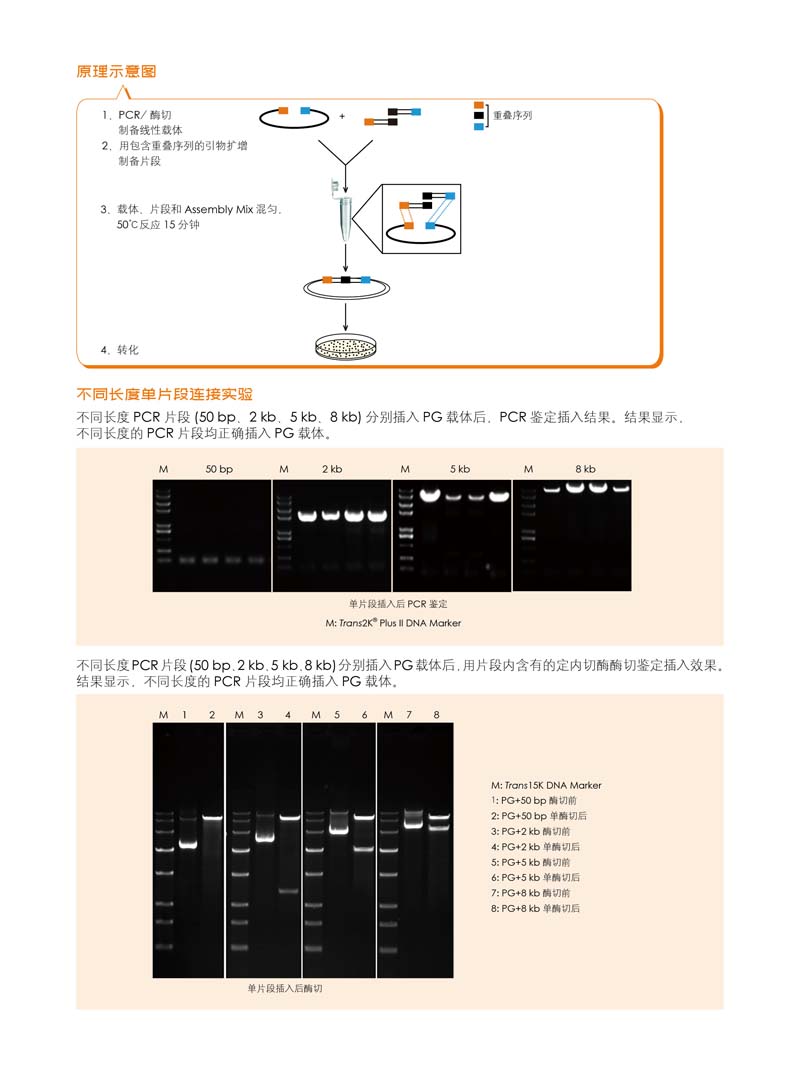 全式金生物無(wú)縫拼接產(chǎn)品