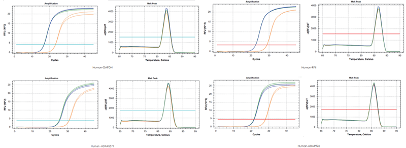 使用TransGen產(chǎn)品，以200 ng RNA、200 ng RNA+200 ng gDNA、200 ng gDNA為  模板進(jìn)行反轉錄后定量擴增不同基因。結果表明，TransGen產(chǎn)品具有強的gDNA去除能力。