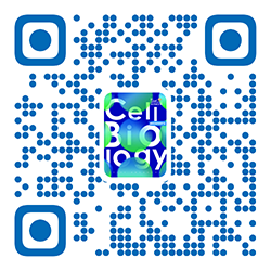 1細胞生物學(xué)副本.png