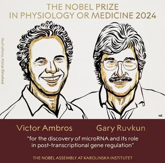 2024年諾貝爾生理學(xué)或醫學(xué)獎獲獎?wù)?，Victor Ambros和Gary Ruvkun