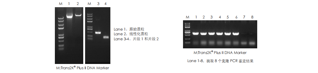 客戶(hù)反饋數據